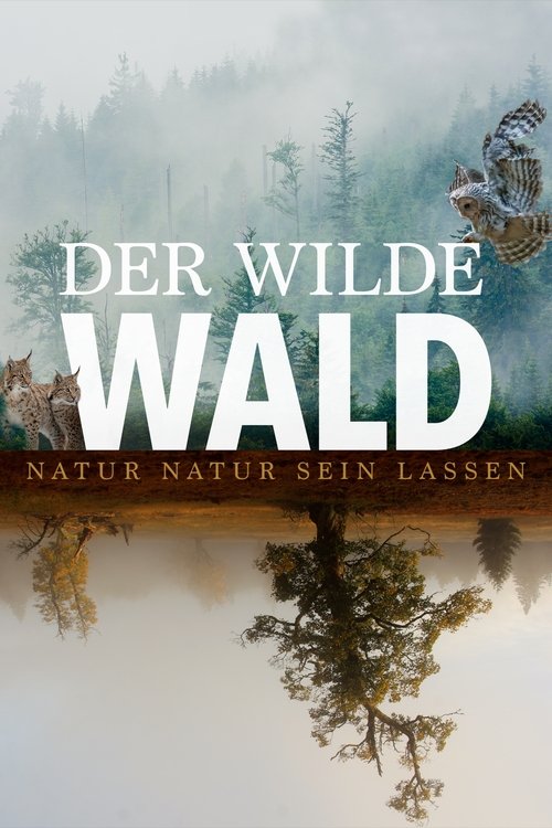 Poster Der Wilde Wald