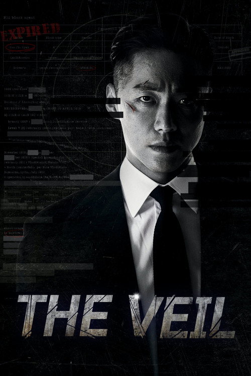 Pôster de The Veil