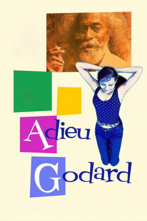 Poster Adieu Godard
