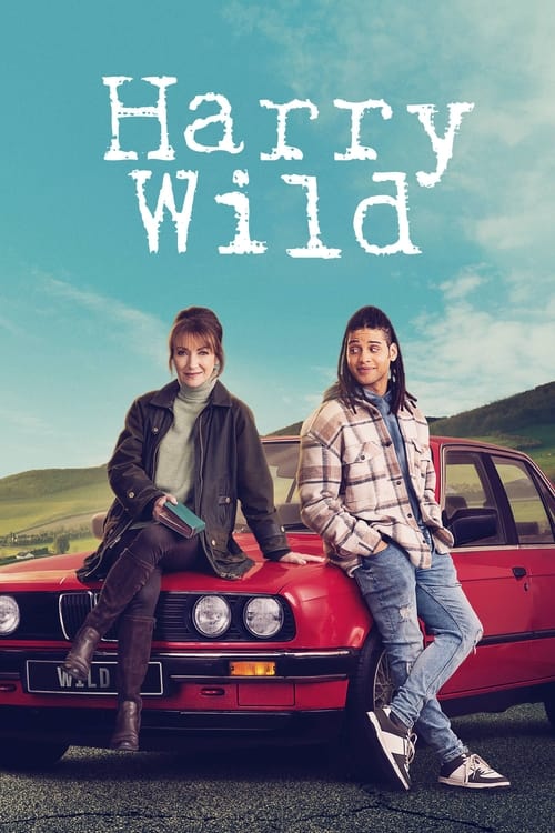 Pôster de Harry Wild