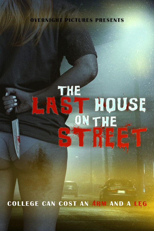 Poster The Last House on the Street