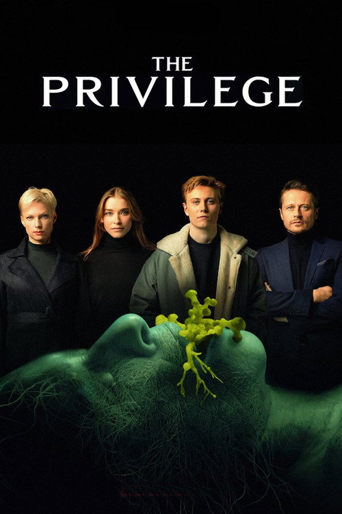 Poster În umbra privilegiului