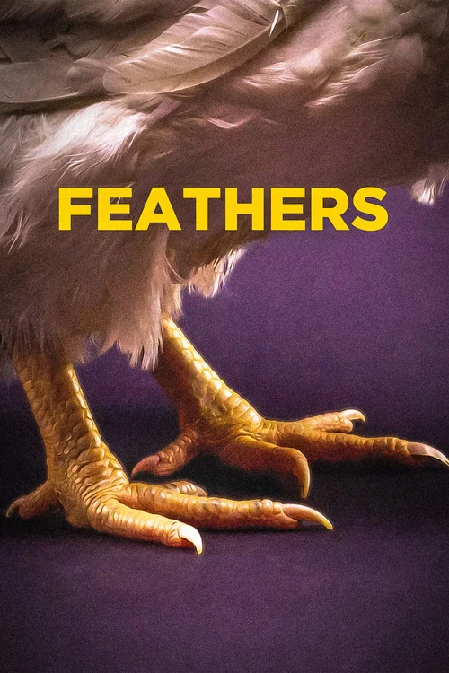 Poster Feathers