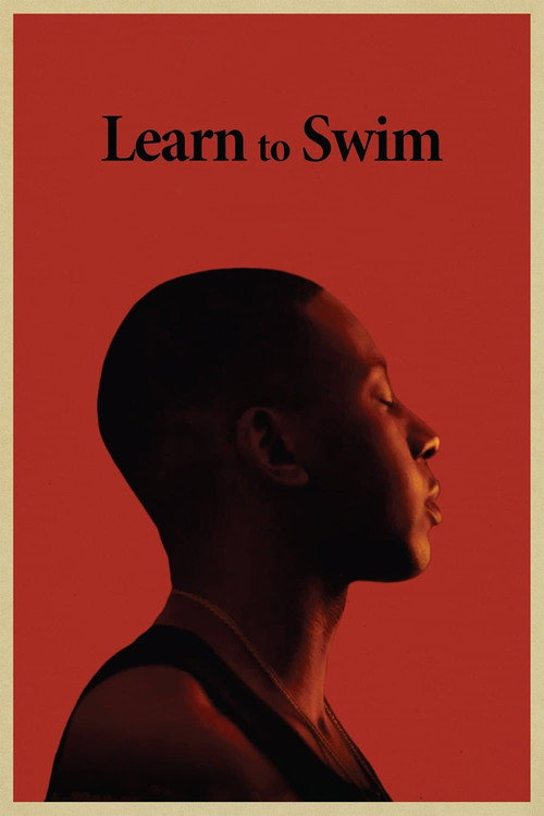 Poster Learn to Swim