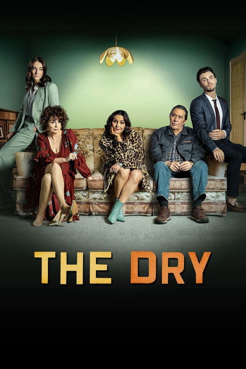 Pôster de The Dry