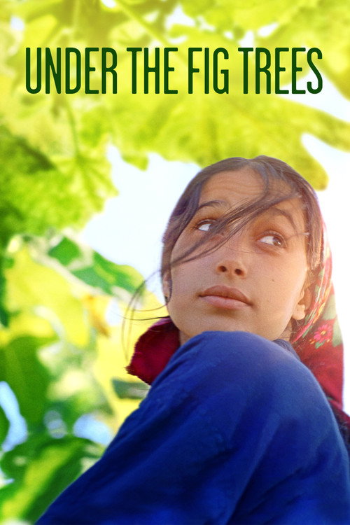 Poster Under the Fig Trees