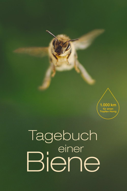 A Bee's Diary