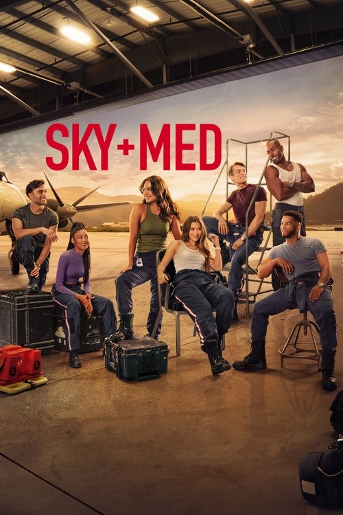 Pôster de SkyMed