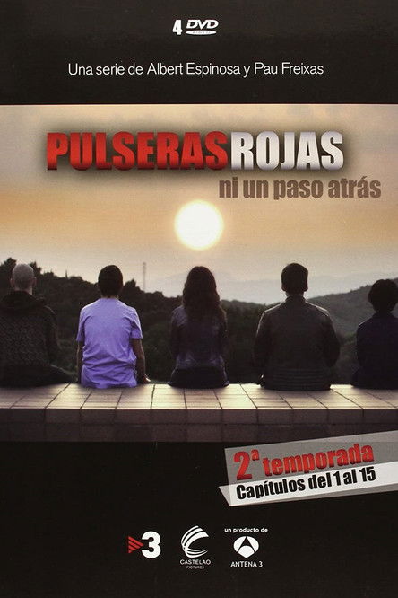 Pôster de The Red Band Society