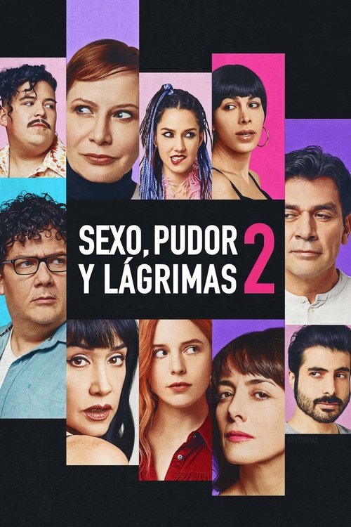 Poster Sex, Shame and Tears 2