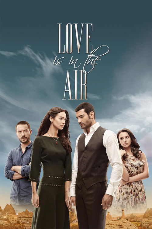 Pôster de Love Is in the Air