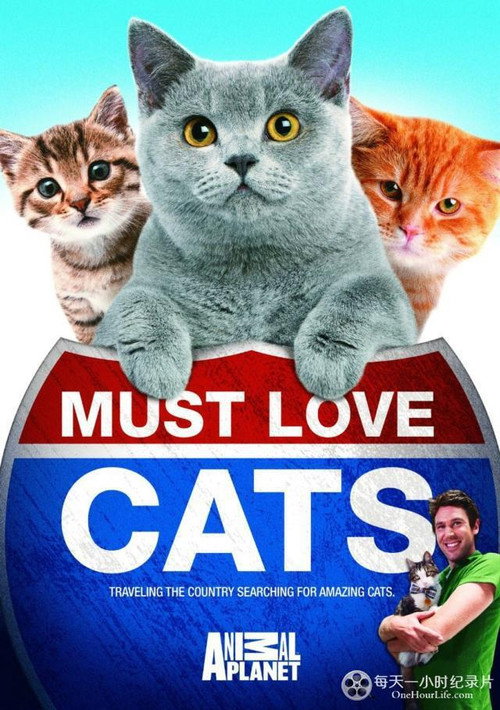 Poster Must Love Cats