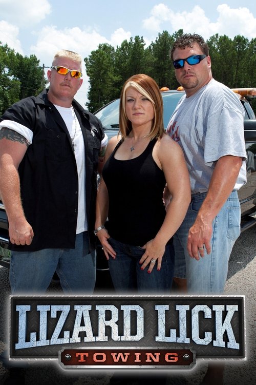 Pôster de Lizard Lick Towing