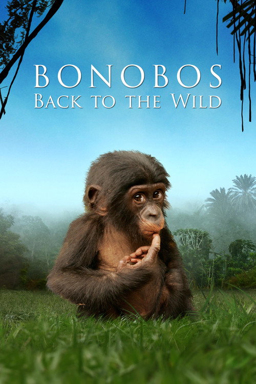 Poster Bonobos: Back to the Wild