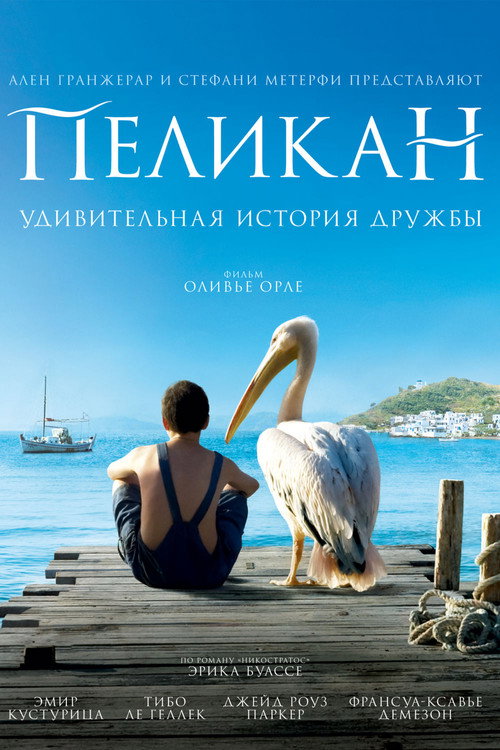 Nicostratos the Pelican