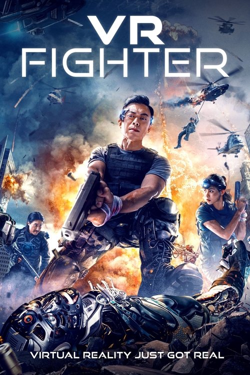 Poster VR Fighter