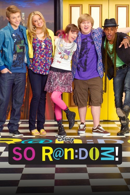Pôster de So Random!