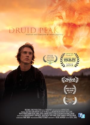 Poster Druid Peak