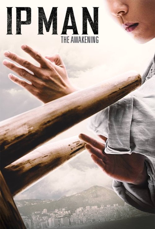 Poster IP Man: Trezirea