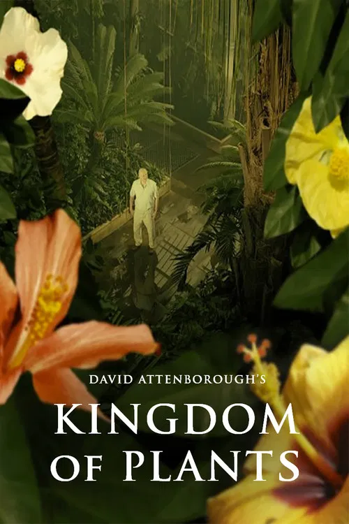 Poster Kingdom of Plants 3D