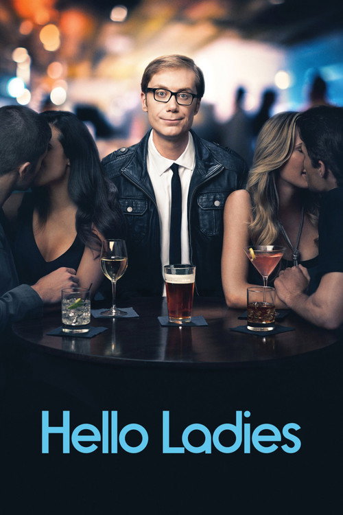 Pôster de Hello Ladies