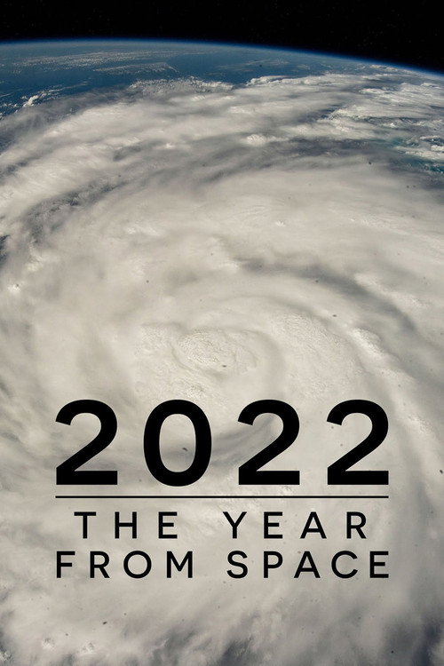 Poster 2022: The Year from Space