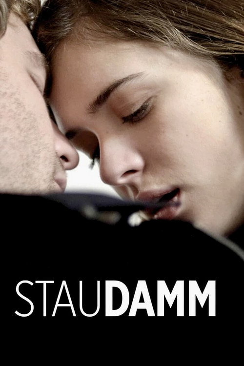 Poster Staudamm