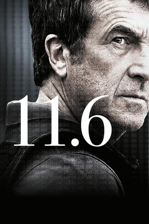 Poster 11.6