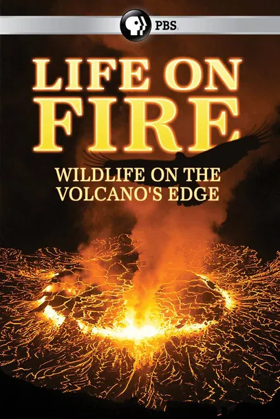 Poster Life on Fire