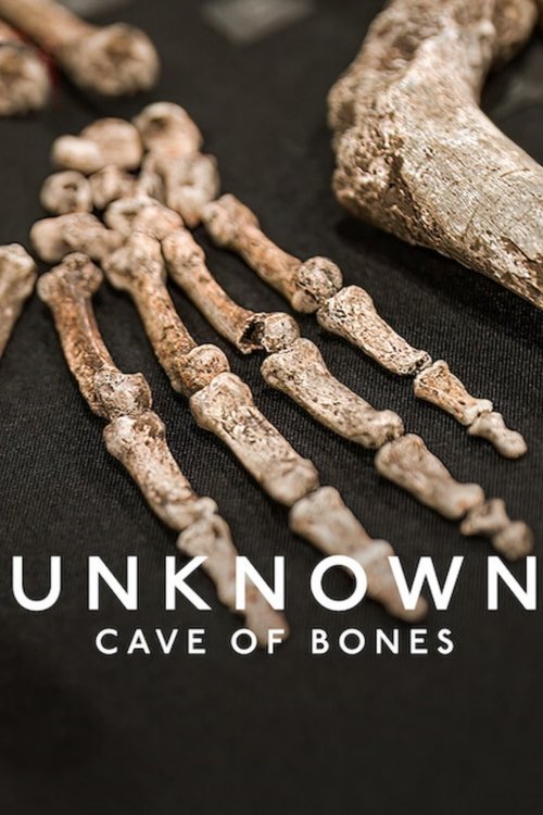 Poster Unknown: Cave of Bones