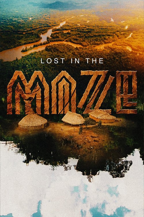Poster Lost in the Maze