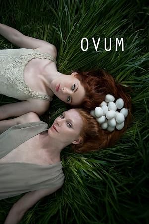 Poster Ovum