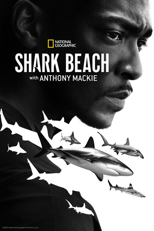 Poster Shark Beach with Anthony Mackie