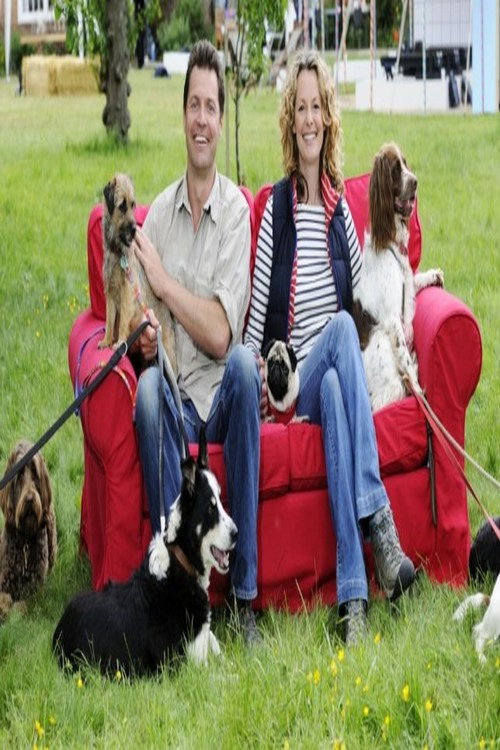 Poster The Wonder of Dogs