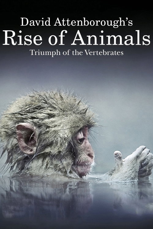 Poster Rise of Animals: Triumph of the Vertebrates