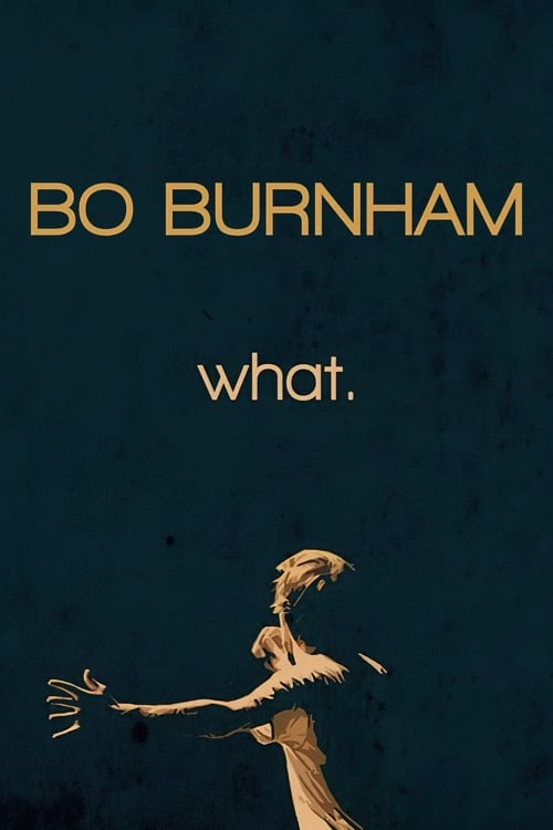 Poster Bo Burnham: what.
