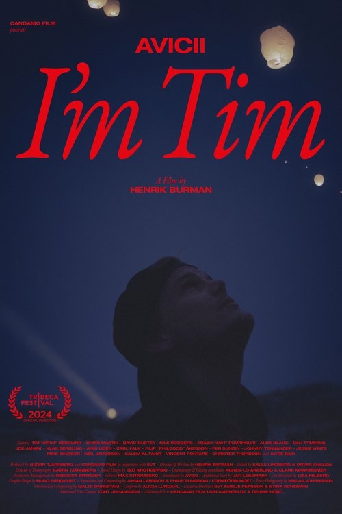 Avicii – I'm Tim