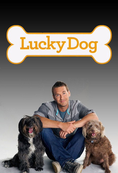 Poster Lucky Dog