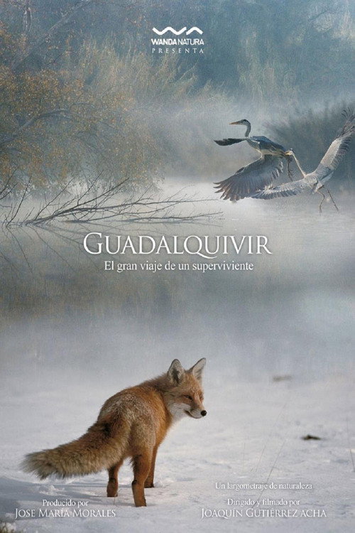 Guadalquivir: The Great River
