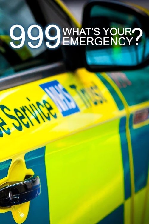 Poster 999: What's Your Emergency?
