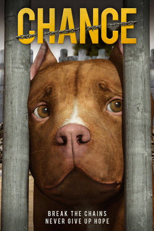 Poster Chance