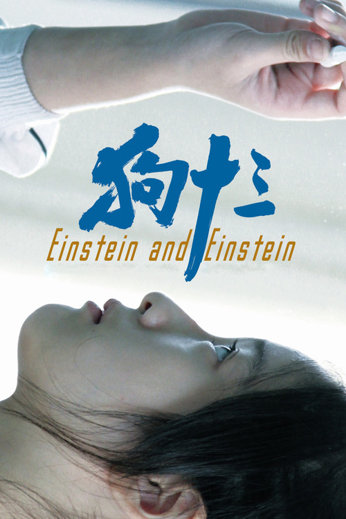 Einstein & Einstein