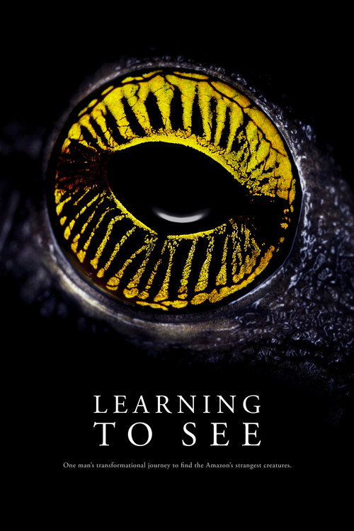 Learning to See: The World of Insects