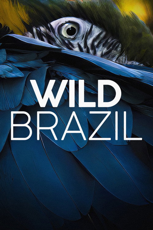 Poster Wild Brazil