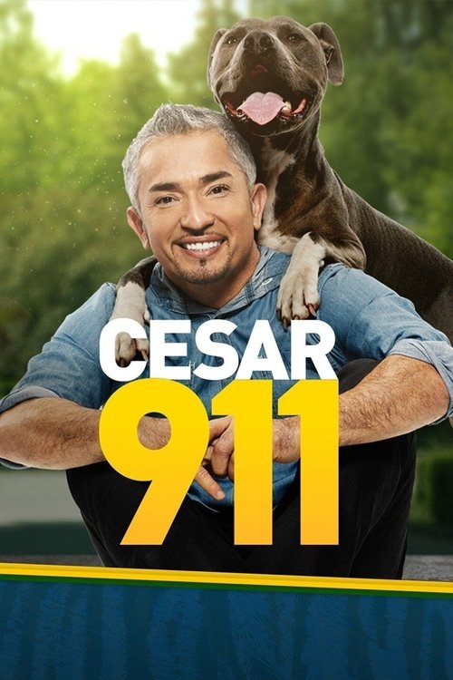 Poster Cesar 911
