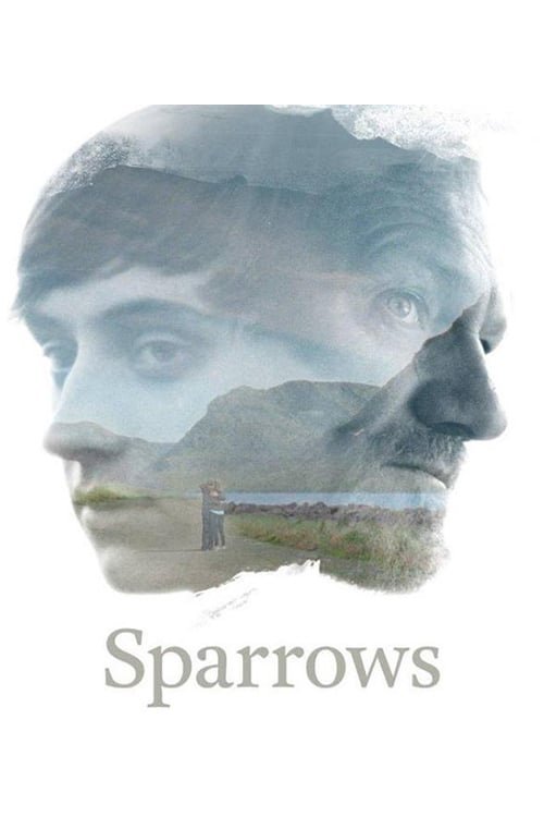 Poster Sparrows