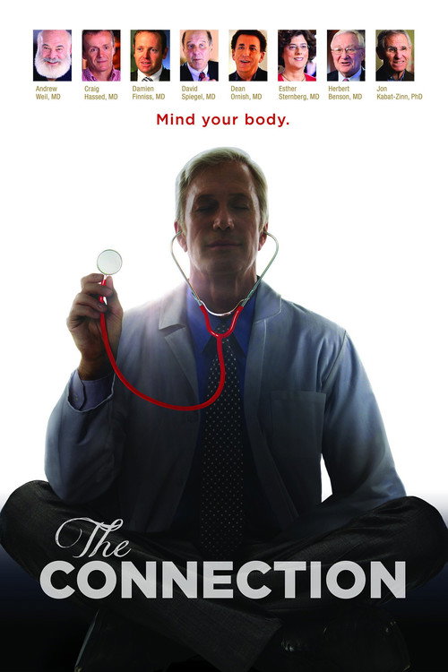 Poster The Connection