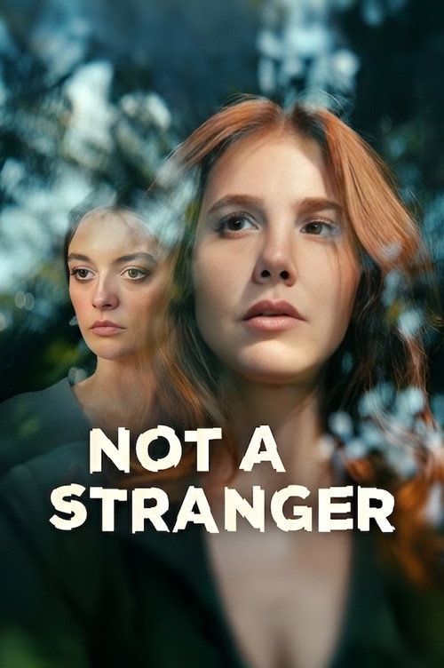 Pôster de Not a Stranger