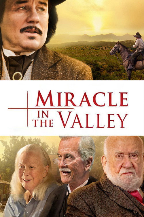 Poster Miracle in the Valley