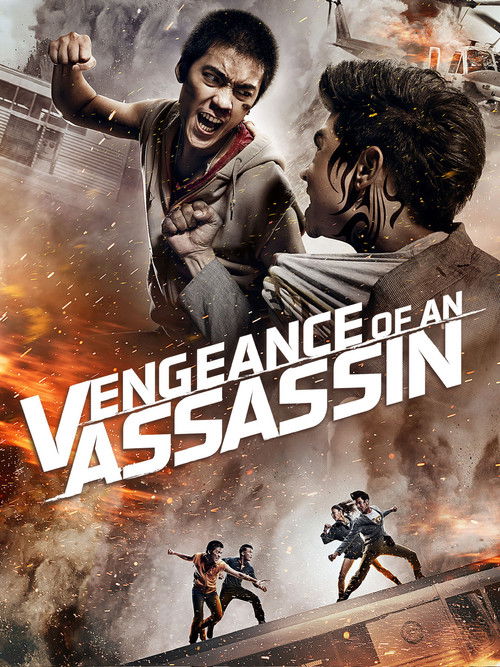 Poster Razbunarea unui asasin